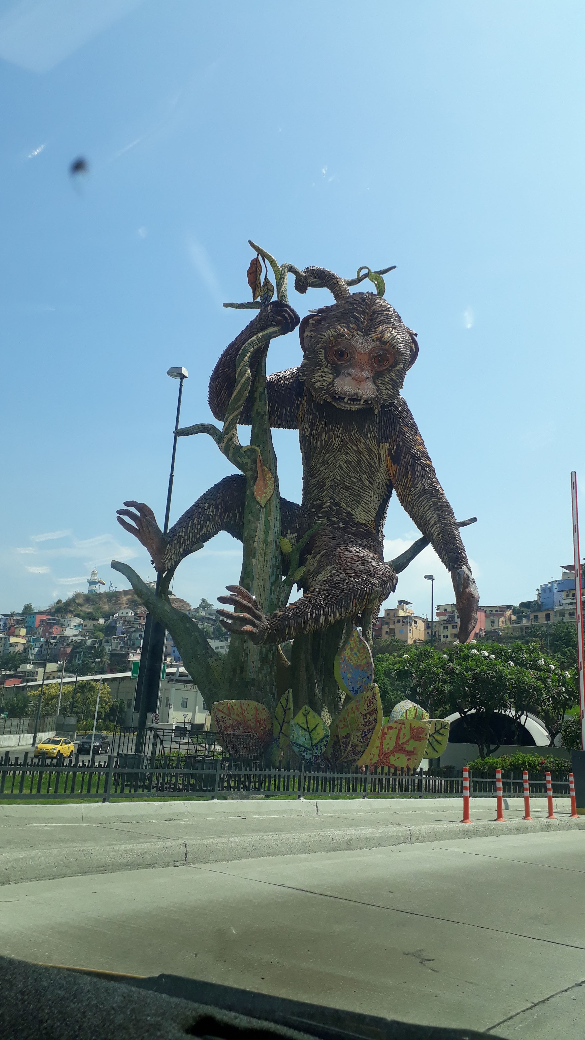 Plaza Rodolfo Baquerizo Moreno 7